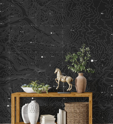 Topographic Map Wallpaper