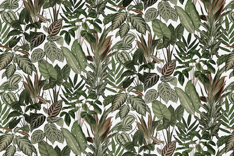 Thurmond Nature Wallpaper