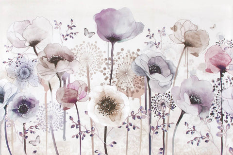Nelumbo Flower Floral Wallpaper